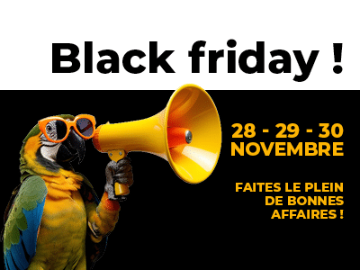 Black Friday
