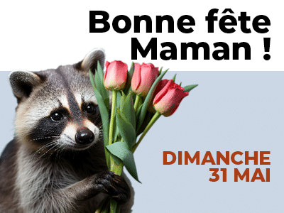 Fête des mères